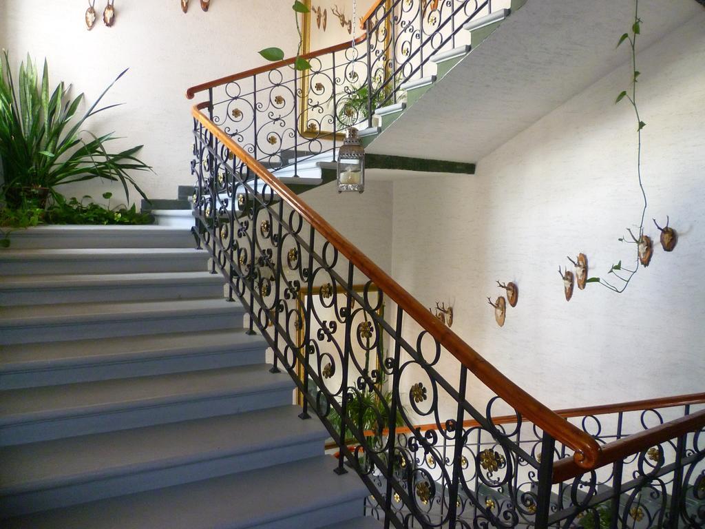 Hotel Koruna Jeseník المظهر الخارجي الصورة